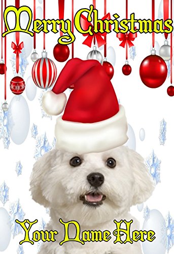 Biglietto di auguri di Natale con cappello di