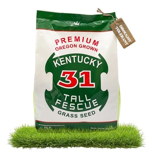 Premium Oregon Grown Kentucky 31 Tall Fescue Grass Seed (5 LBS)
