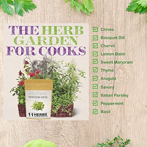 Apexmode 11 Culinary Herb Seeds For Planting, Heirloom Non Gmo 3300+ Herb Seeds Plant In Soil Or Hydroponic Indoor Or Outdoor Herbs Garden: Peppermint, Lemon Balm, Basil, Arugula, Parsley And More #TOP1