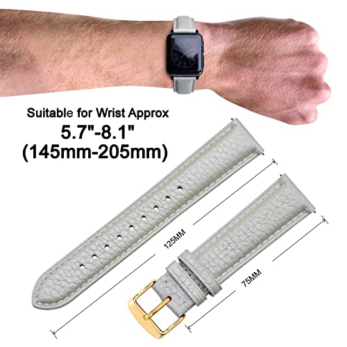Image of ANNEFIT Watch Band 22mm, Quick Release Textured Padded Leather Straps with Gold Buckle for Men and Women (Silver)