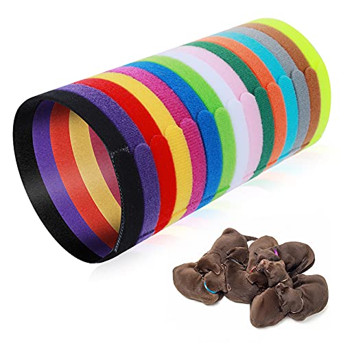 Molain Lot de 15 Colliers de Mise Bas pour Chiot,...