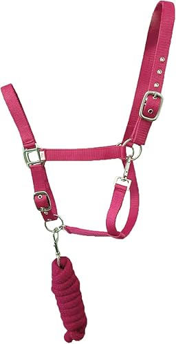 Miniatura 4 de Cabestro de nailon de tamaño completo con correa Removalbe 7'