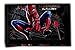 Produktbild Marvel Spider-Man - Geldbörse Geldbeutel Portemonnaie - Spiderman (schwarz)