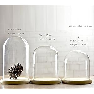Artlass Glazen Cloche Bell Jar Dome Met Houten Dienblad Diameter 15 cm (Small)
