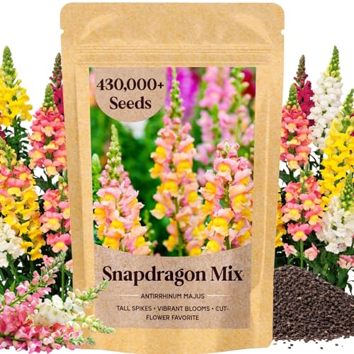 430 000+ Snapdragon Seeds for Planting - 1.4oz Bulk Pack 5-Color Mixed Snapdragon Flower Seeds (Antirrhinum majus) for Garden Beds Borders Pots & Cut Flower Displays Instructions Included