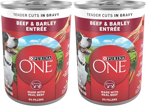 Image of Purina ONE Natural Wet Dog Food Gravy, Tender Cuts in Gravy Beef and Barley Entree - 13 Ounce (Pack of 24)