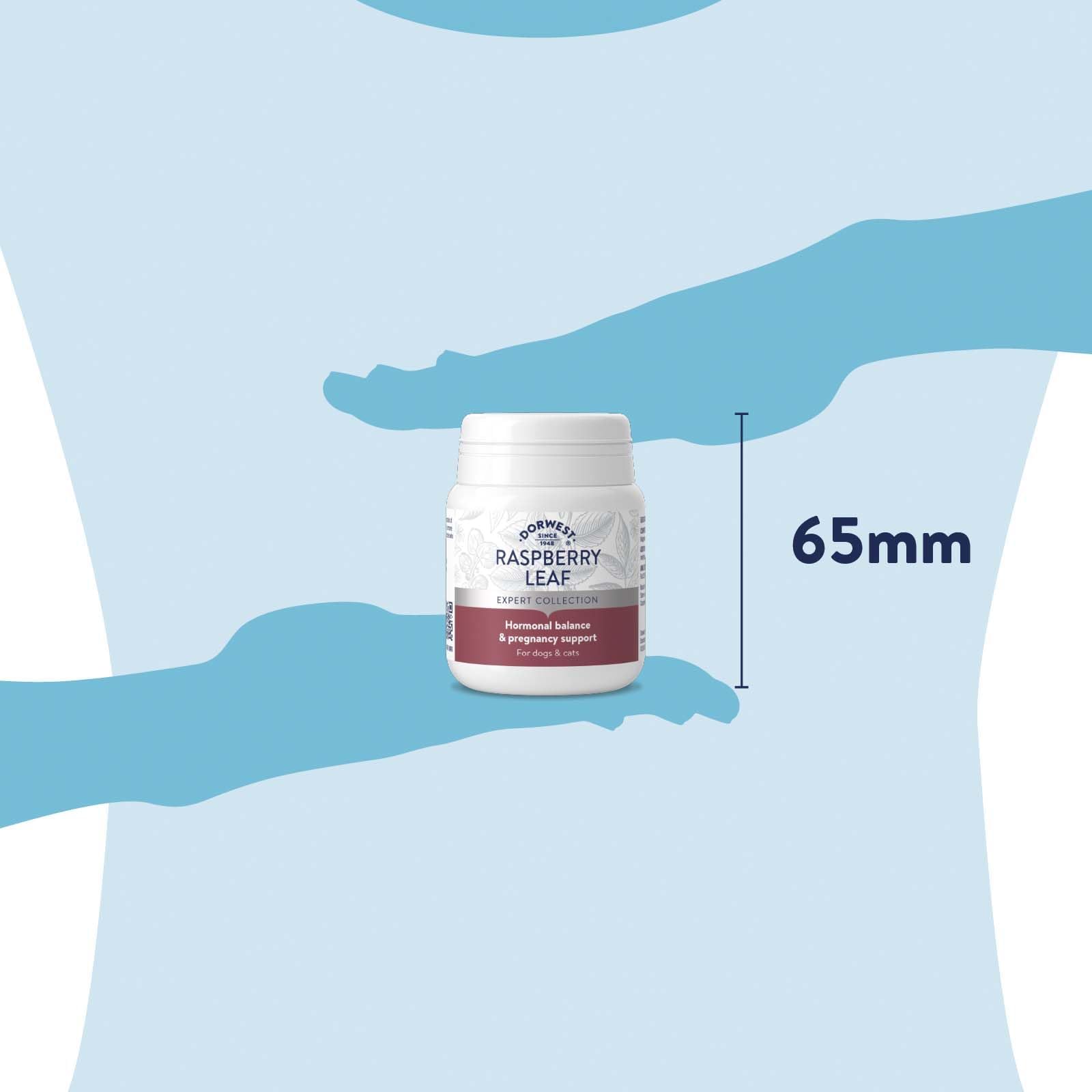 Raspberry Leaf Tablets for Dogs and Cats 100 Tablets