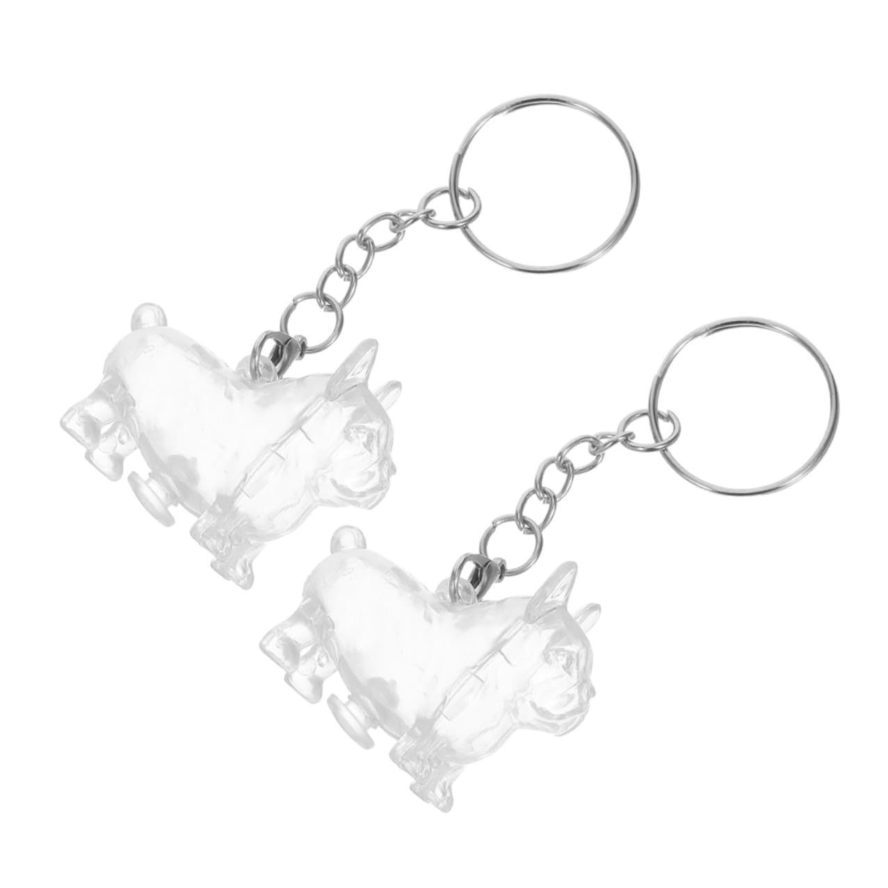 Souvenir Animal éternel : Lot de 2 Boîtes Mémoriales Transparentes pour Poils