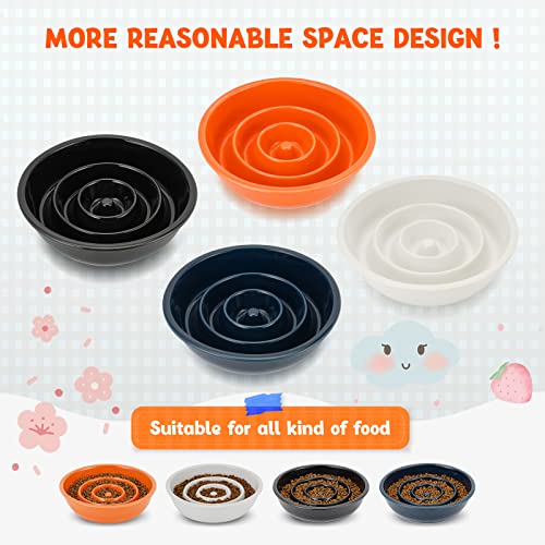Pettom Ceramic Slow Feeder,3 Cups Slow Feed Dog Bowl,Preventing Choking,Puppy Bowl,Puzzle Feeder,Orange #TOP4