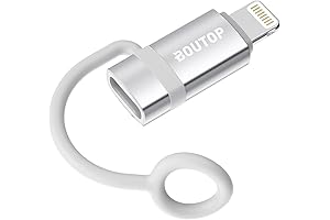 USB-C to Lightning Adapter: Silver, MFi-Certified for Fast Charging