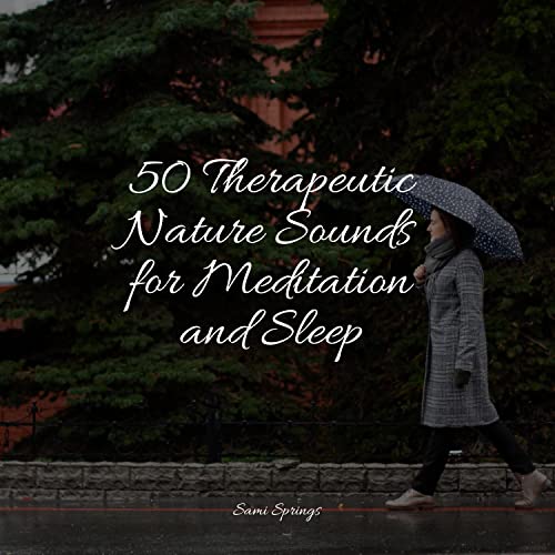 Play 50 Therapeutic Nature Sounds for Meditation and Sleep by The ...
