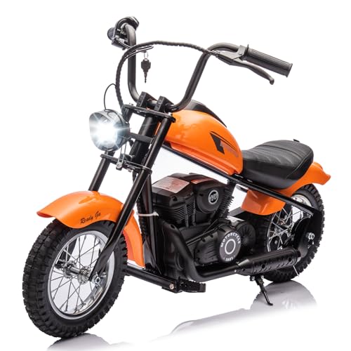 JoyWheels 24V Electric Dirt Bike, Electric Motorcycle for Kids w/LED