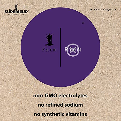 Superieur Electrolytes – Plant Based Electrolyte Supplement w/ Sea Minerals for Hydration & Recovery – Keto Friendly, Non-GMO, Zero Sugar, Vegan Healthy Sports Drink Powder – Grape (70 Servings)