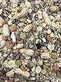 Mixed Gerbil Mouse Rat and Hamster Food 200g Premium Quality s/l