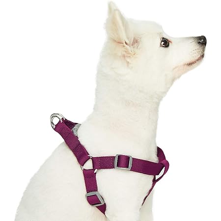 brilliant k9 harness amazon