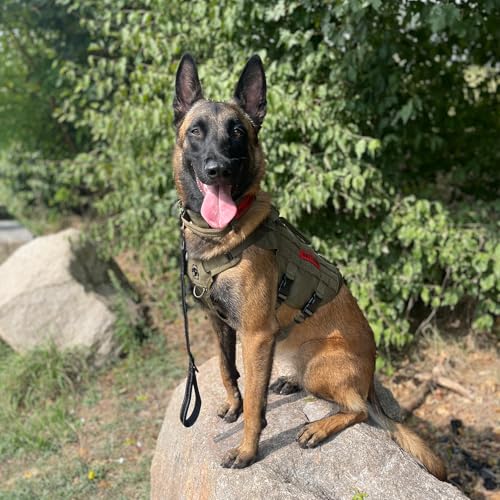 OneTigris Hundegeschirr Mittelgroße Hunde, AIRE MESH Taktisches Anti Zug Geschirr mit 2 Griff Verstellbar Brustgeschirr No Pull Dog Harness Atmungsaktiv Grün S