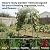 Garden Arch Trellis for Climbing Plants Outdoor, 7 Ft Tall Cucumber Trellis for Raised Bed, Metal Archway Arbor Trellis Support for Vegetables Beans Squash Peas Grape Vines Flowers