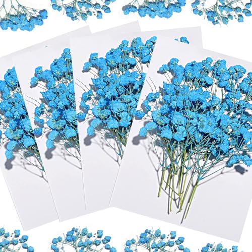 Flores Secas Naturales Azul Para Manualidades 96pz miniatura 6