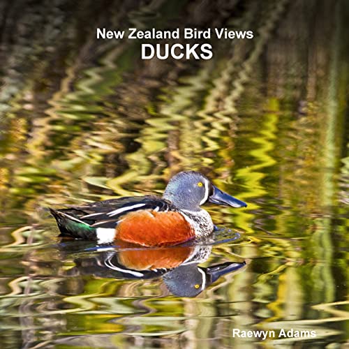 New Zealand bird views : ducks