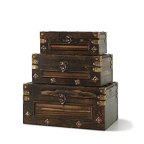 Soul & Lane Branson Wooden Storage Trunks (Set of 3)