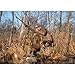 AVIAN-X Ultimate Gun & Gear Stick For Waterfowl Hunting - Lightweight Durable Solid Stable Adjustable OD Green Powder-Coated Stick with Carry Strap