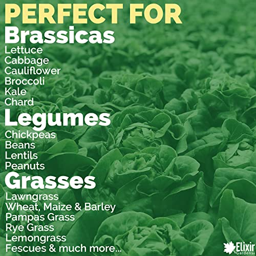 Elixir Gardens Garden Lime Powder Soil Conditioner Limestone Dolodust Various Sizes 500g-25kg | 1kg Bag | Treats upto 20sqm