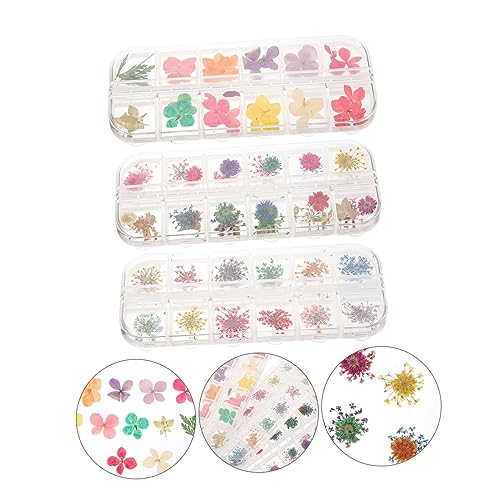Flores secas para manualidades en resina, pack de 3 miniatura 5