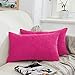 yibo Fundas de Cojín, Fundas de Cojín de Chenilla, Cubierta Suave Decorativa Protector para Hogar, Decorativa Almohada para Sofá Coche Cama Sillas Decoración, 2 Piezas, 40 x 60 cm, Fucsia