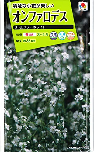 Amazon.co.jp: オンファロデス・リトルスノーホワイト 種子 2ml（育苗