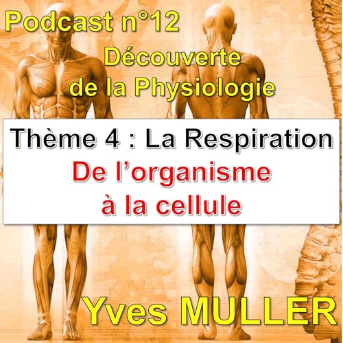 12. la respiration - De l'organisme à la cellule