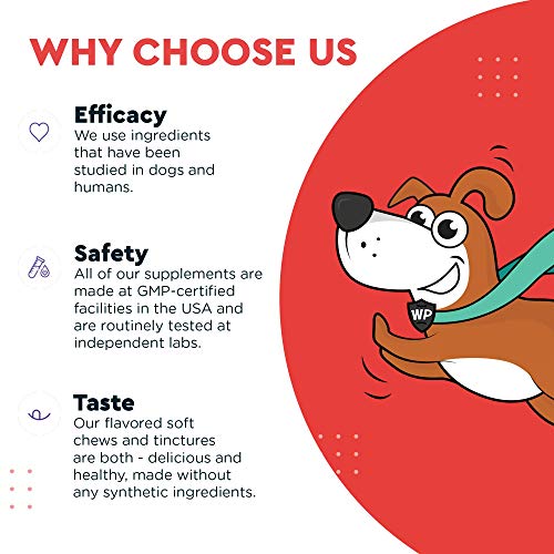 Heart + Vitality Superhero Chews Plus Omega Max Fish Oil - For Dog’s Heart Health, Skin And Joint Care & Immune Support - Heart + Vitality 90 Chews - Omega Max 16 Ounces #TOP5