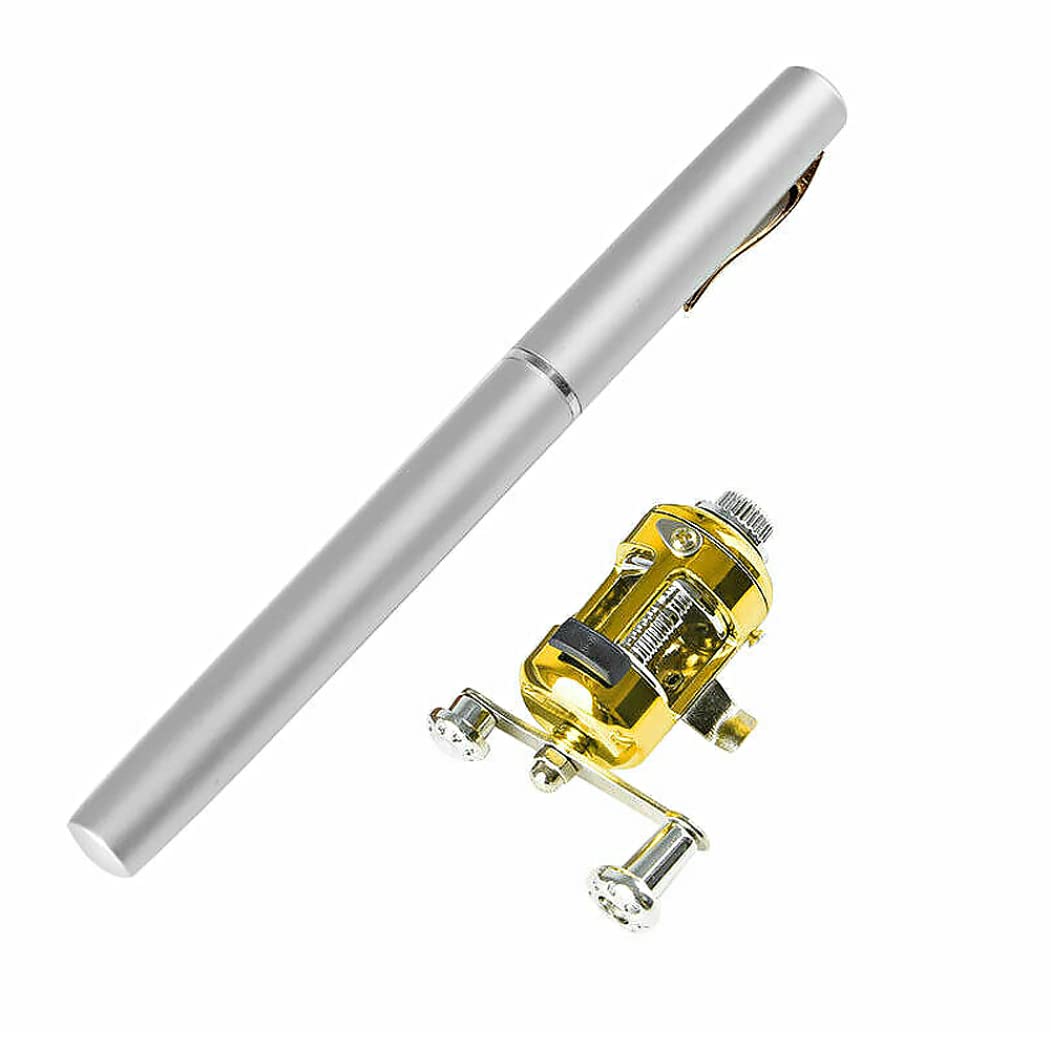 Pole de pêche à Stylo 1pc Mini Canne à pêche de Poche Portable de Poche télescopique Accessoire de pêche à la pêche (Argent)