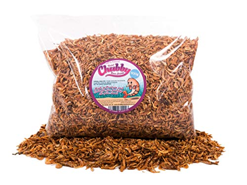 Chubby Mealworms Crevettes de rivière séchées