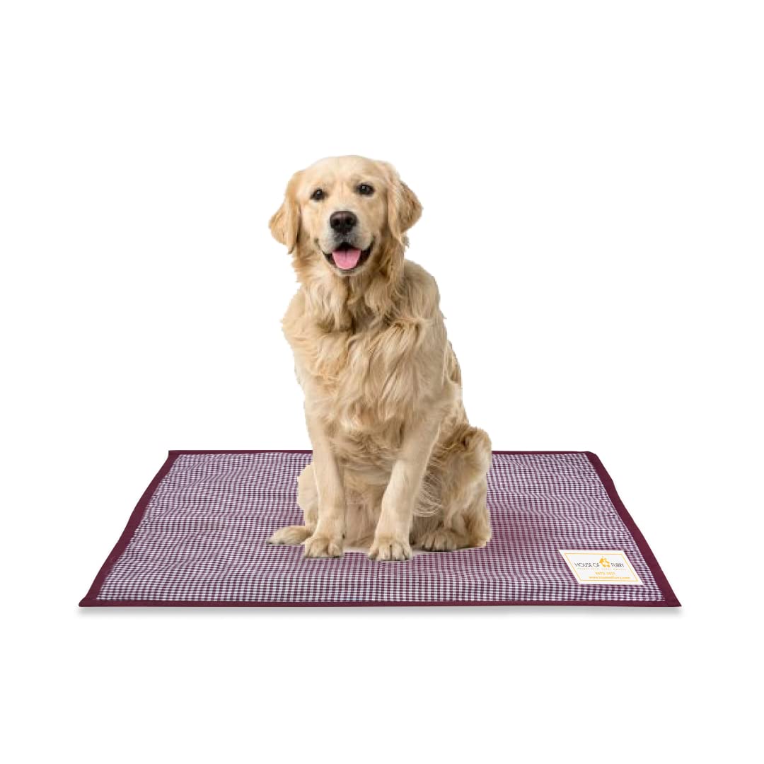 House of Furry HOF Washable Dog Mats | Soft, Light Weight Mats for Dogs | Dog Mats for Sleeping | Dog Mats for Indoor and Outdoor (L). (B0C33R7HF6) Amazon Price History, Amazon Price Tracker