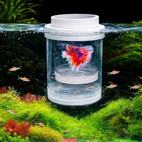 Image of VAYINATO White Arylic Floating Fish Breeder Box for Aquarium - Isolation Tank Separator Hatchery Incubator for Guppy, Betta, Fry, Baby & Injured Fish | Transparent Multi-Use Breeding Box (Large)