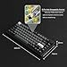 Akko 5075B Plus Mechanical Keyboard 75% Percent RGB Hot-swappable Keyboard with Knob, Black & Silver Theme with PBT Double Shot ASA Profile Keycaps V3 Cream Yellow Pro Switch
