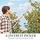 Spetsbst 4.2M Obstpflücker mit Teleskopstiel, Edelstahl Apfelpflücker Kirschenpflücker Einstellbare Länge Pflaumenpflücker, Obstsammler Obstgreifer mit Baumwollbeutel