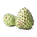 Futaba® Sugar-apple Sweetsop Annona squamosa Non GMO fruit 10 Seeds