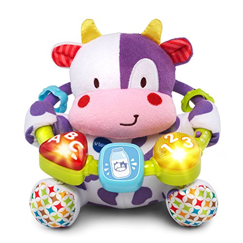 VTech Baby Lil’ Critters Moosical Beads, Purple