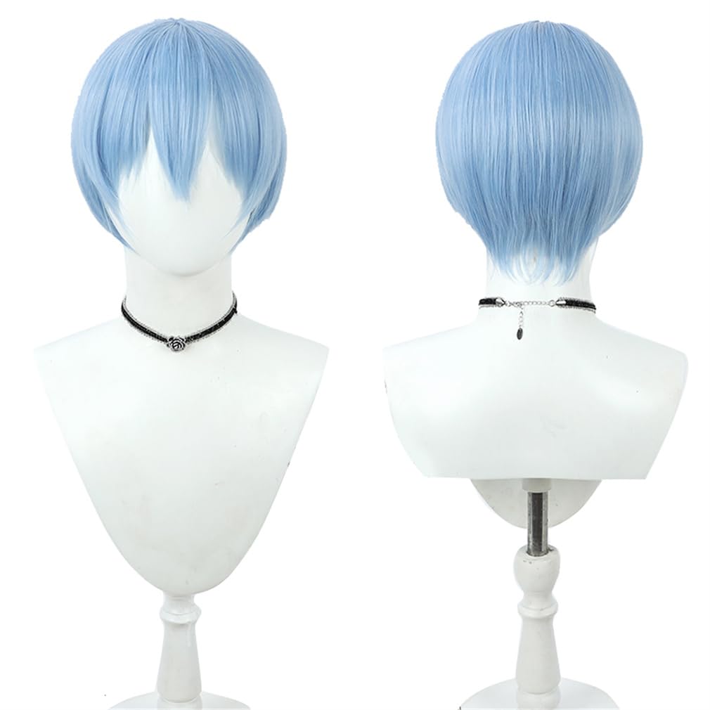 Amazon.co.jp: 葬送のフリーレン ヒンメル 風 コスプレ用
