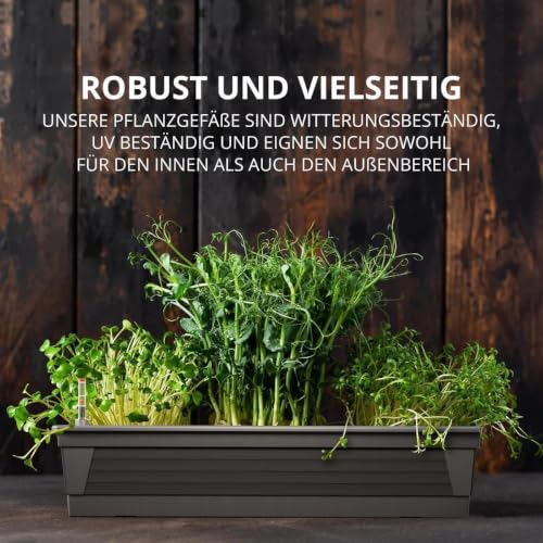 Plastard Blumenkasten 80 cm Anthrazit - Balkonkasten & Bewässerungssystem – Ansicht 5