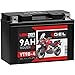 LANGZEIT YT9B-4 GEL Motorradbatterie 12V 9Ah 180A/EN YT9B-BS 50801 50815 GT9B-4 Gel Batterie 12V doppelte Lebensdauer auslaufsicher wartungsfrei statt 8Ah 12V/140A günstig Kaufen-LANGZEIT YT9B-4 GEL Motorradbatterie 12V 9Ah 180A/EN YT9B-BS 50801 50815 GT9B-4 Gel Batterie 12V doppelte Lebensdauer auslaufsicher wartungsfrei statt 8Ah