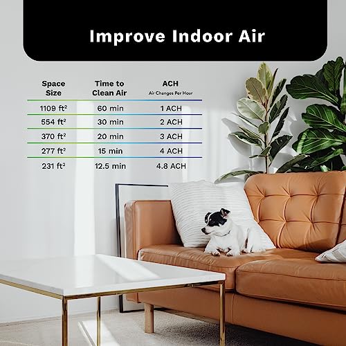 Dh Lifelabs | Sciaire Mini + Hepa Air Purifiers | Ions Actively Clean & Deodorize Air | Eliminates 99.9% Of Bacteria & Viruses | H13 Hepa Purifier Filter For Allergies Pets | Bedroom Home | Grey #TOP4