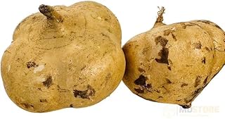 MDSTORE ベトナム産ヒカマ・Vietnam Fresh Jikama・Cu dau・จิคามา 1kg (2キロ)
