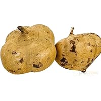 Amazon.co.jp: MDSTORE ベトナム産ヒカマ・Vietnam Fresh Jikama・Cu