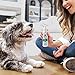 Lillian Ruff Dog Breath Freshener Dental Care Spray - Dog Oral Health Teeth Cleaning Formula Targets Bad Dog Breath, Plaque & Tartar Build-Up, Supports Oral Care, Gum Health & Immune System (4oz)