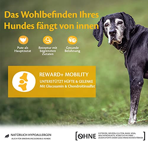 Wellness CORE Reward+ Pute, 170 g, sanfte Hundeleckerli zur Belohnung, ohne Zuckerzusatz, getreidefrei, mit hohem Fleischanteil, fördert die Mobilität deines Hundes