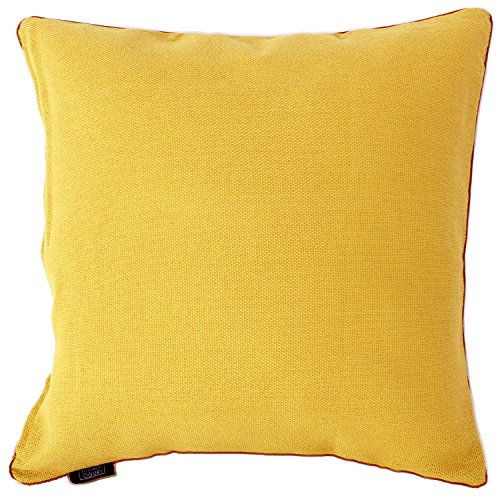 �����[�i�C�g �N�b�V�����J�o�[ �u���W�J�v ��45×45cm �C�G���[ �t�@�X�i�[�� ���̓p�C�s���O�t �i�`�������e�C�X�g �͗l�ւ� �ʔN�g�p �􂦂� MNS641205-35