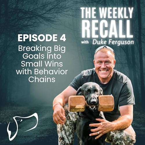 『#4 Breaking Big Goals Into Small Wins with Behavior Chains』のカバーアート