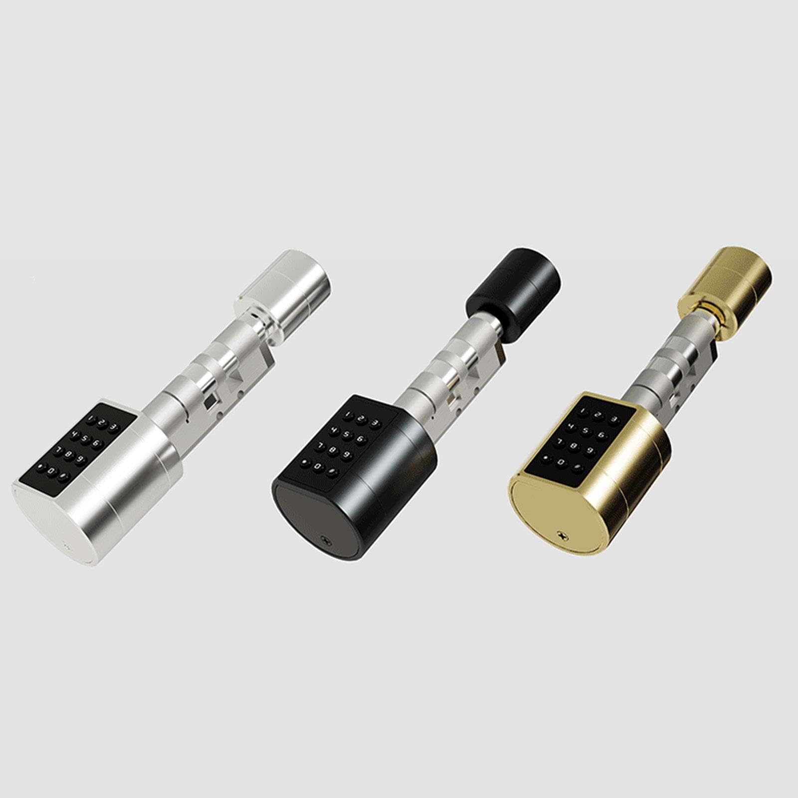Serratura Meccanica a Chiave/serratura Elettronica per Porta di Casa, Spessore 75 Mm X 100 Mm, Oro per